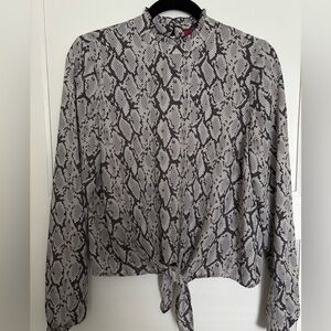 sheer long-sleeve blouse